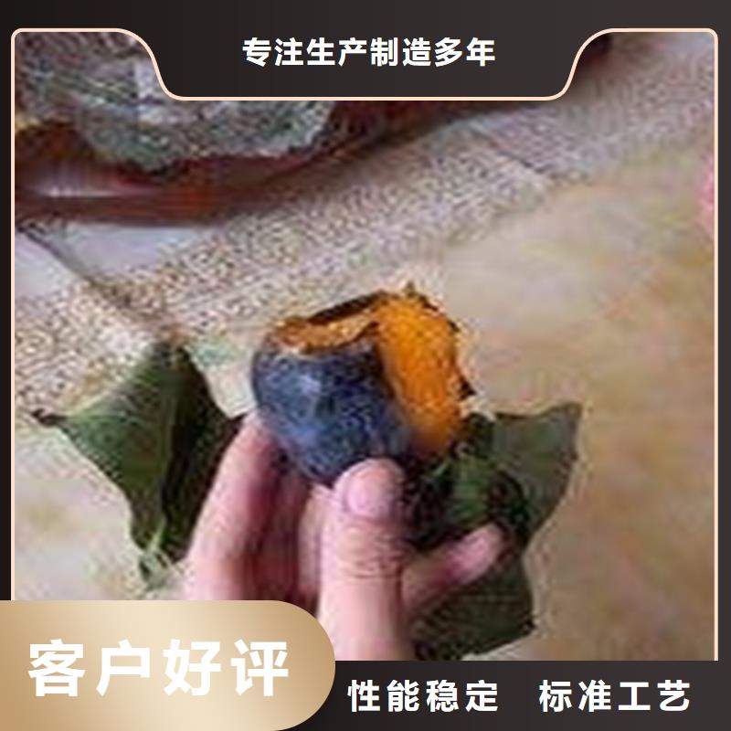 柿子,梨树苗交货准时