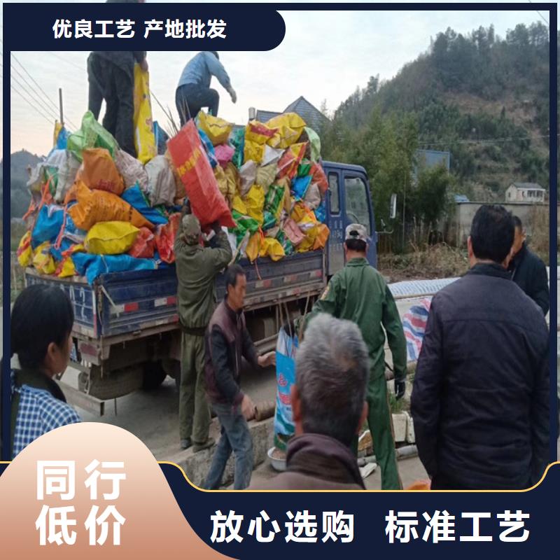 碧根果无花果苗匠心工艺