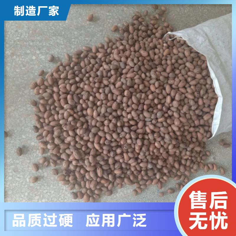 碧根果-樱桃苗出货及时