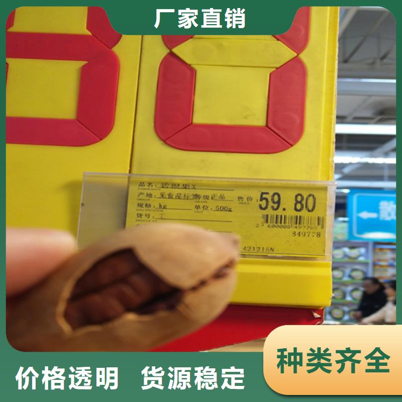 碧根果北美冬青热销产品
