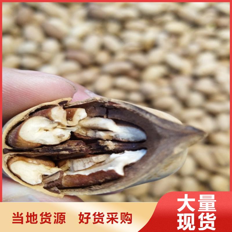 碧根果-樱桃苗出货及时