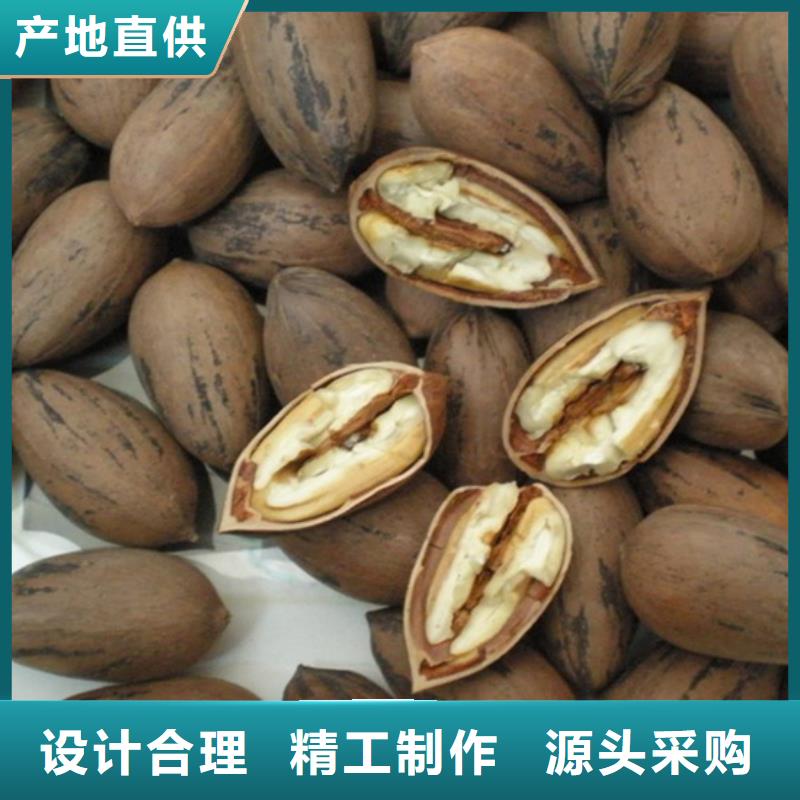 碧根果-樱桃苗出货及时