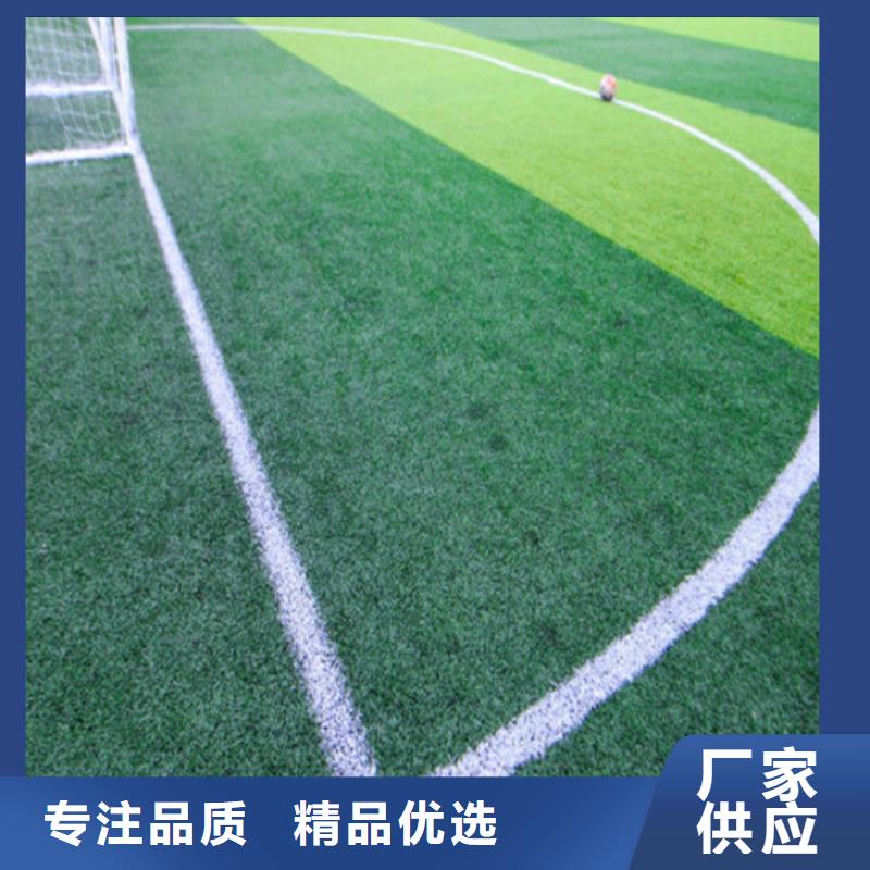峄城区注塑人造草坪