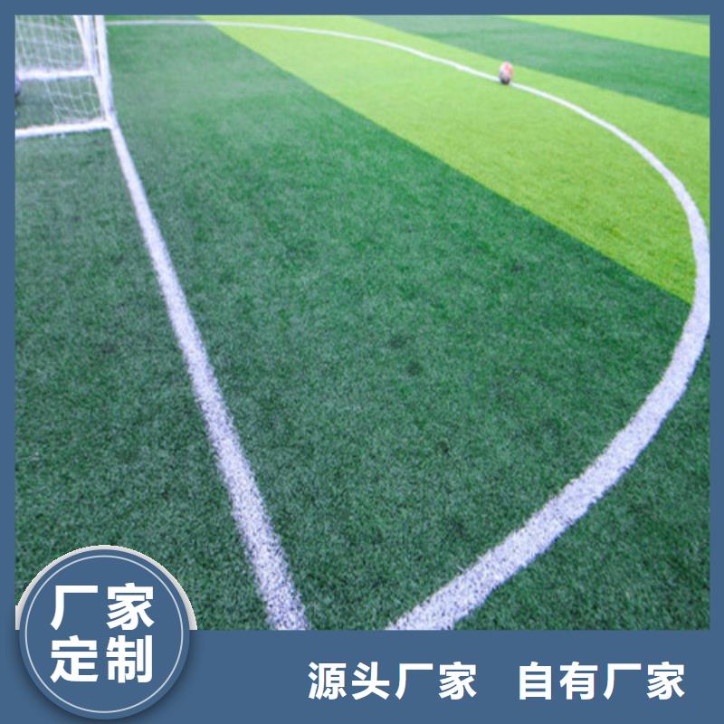 琼海市编织人造草坪价格行情走势