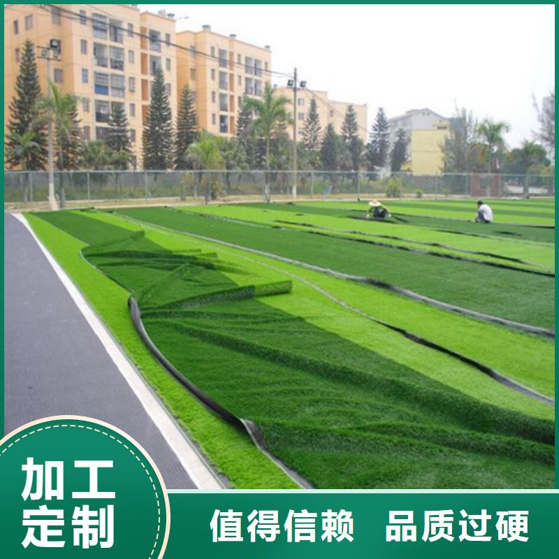 太和围挡草坪优惠报价