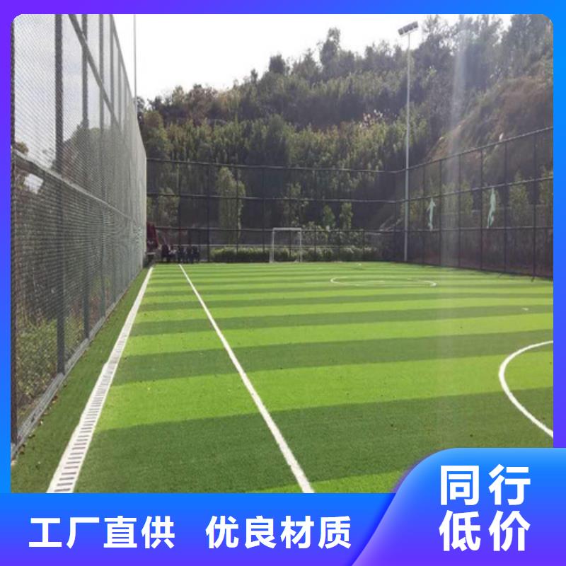 新化注塑人造草坪厂家直供