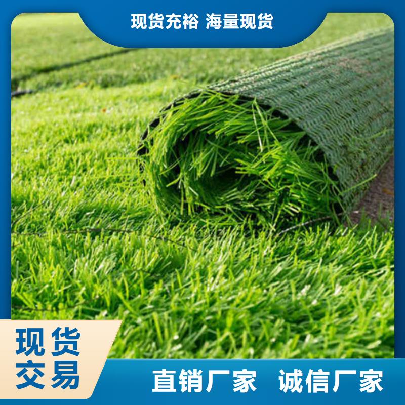 涟源绿草地人造草坪近期行情