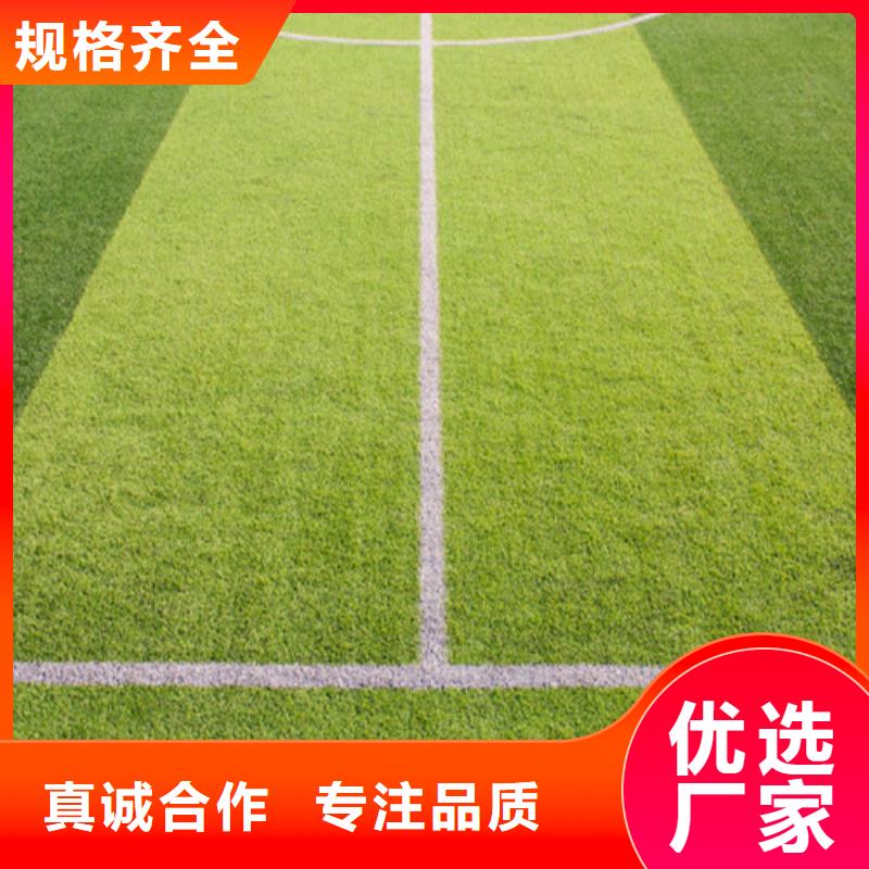 编织人造草坪免费咨询