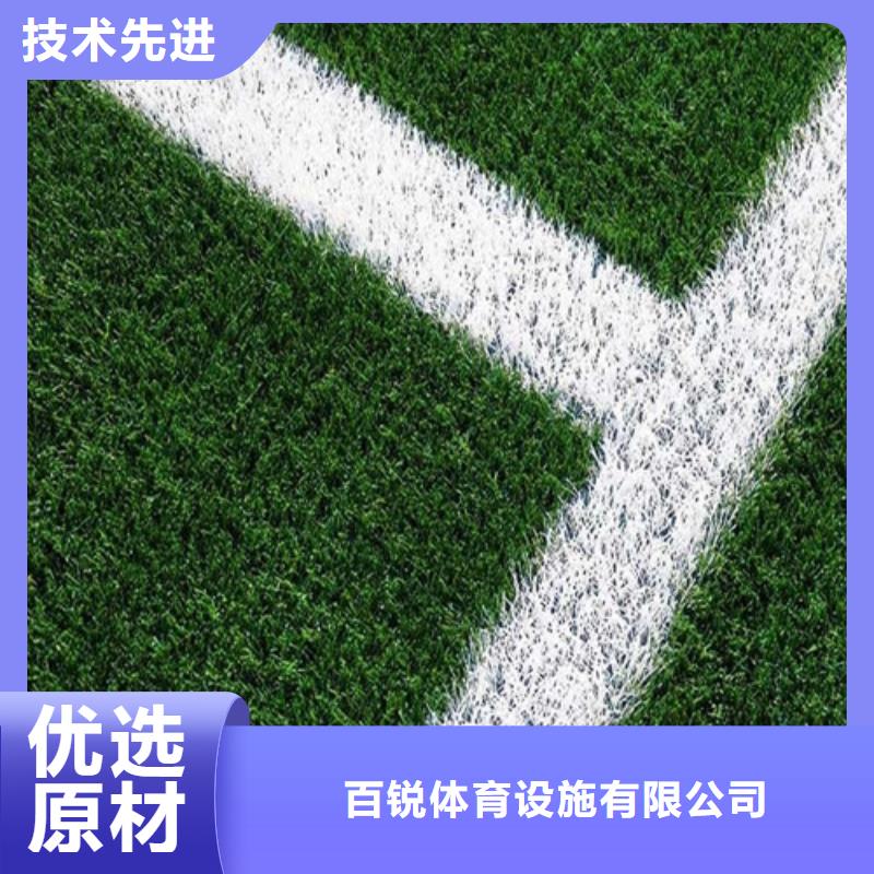 蓝山县围挡草坪