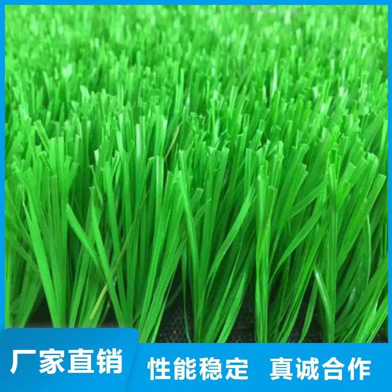双峰球场人造草坪择优