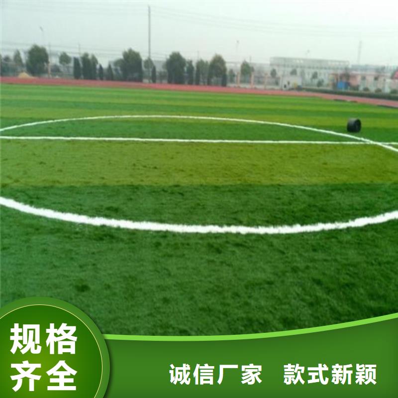 双峰足球场人造草坪欢迎咨询