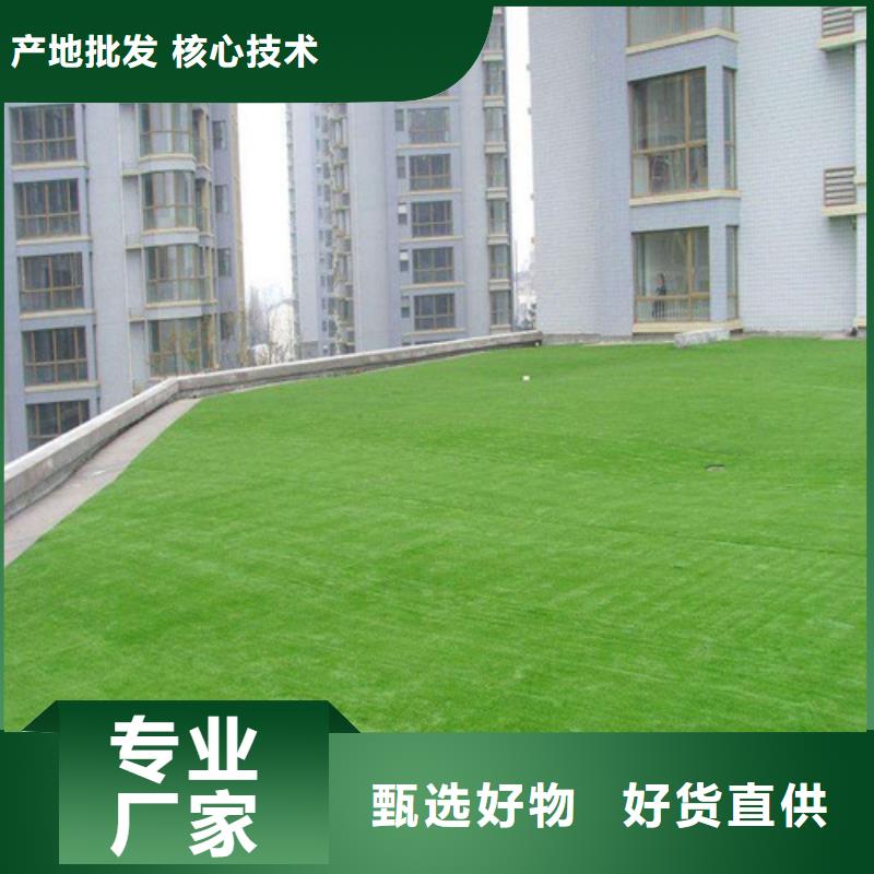 【人造草坪塑胶跑道施工同行低价】