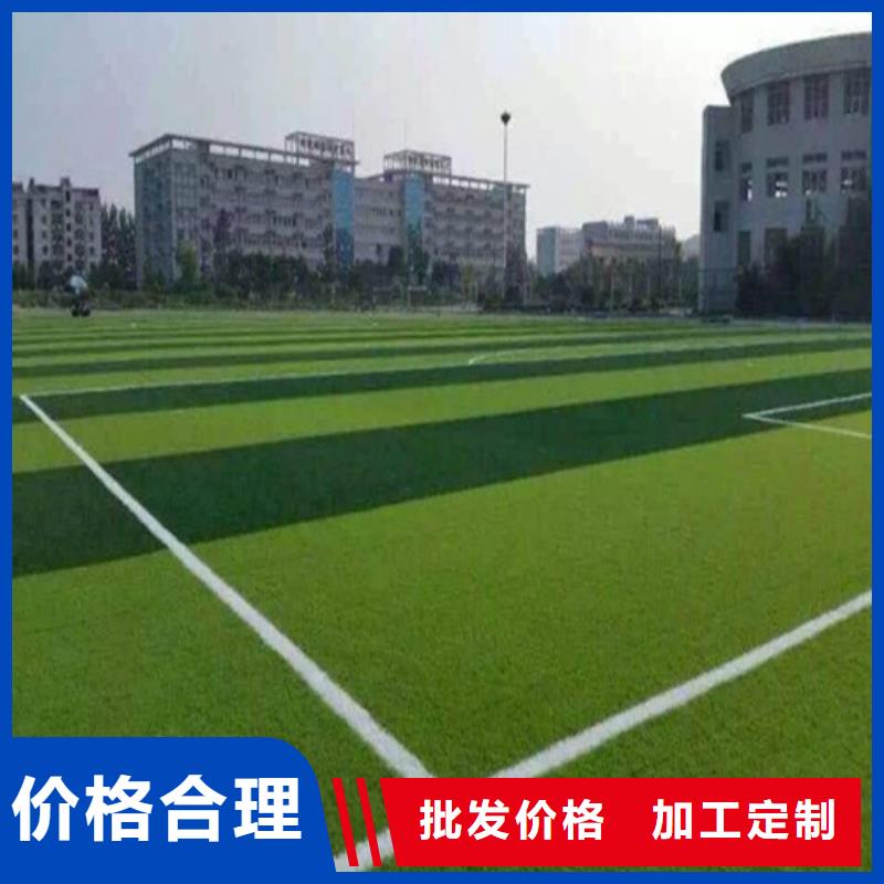 双牌绿草地人造草坪