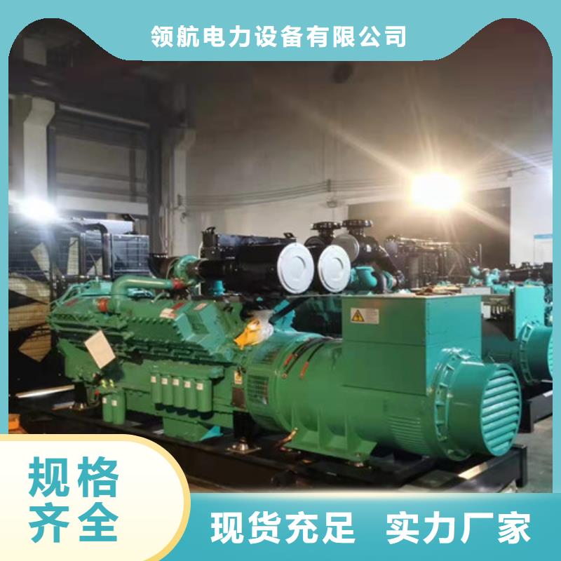 蓝山全自动发电机出租