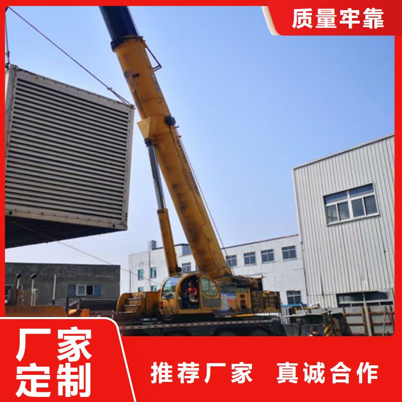 盐源出租发电机组提供进口机器