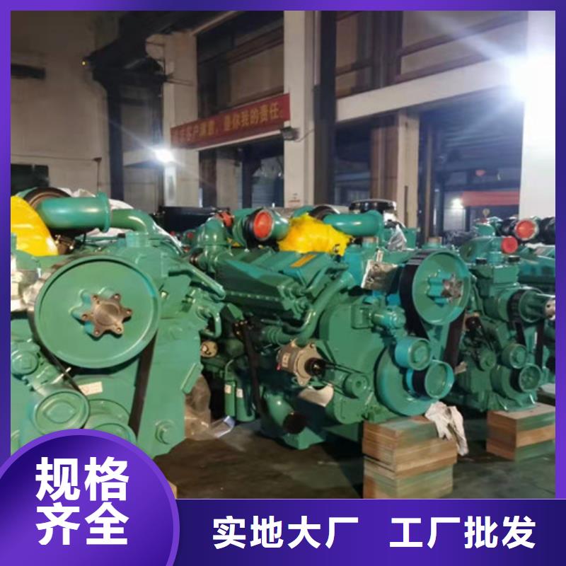柴油发电机组出租发电机出租精工打造