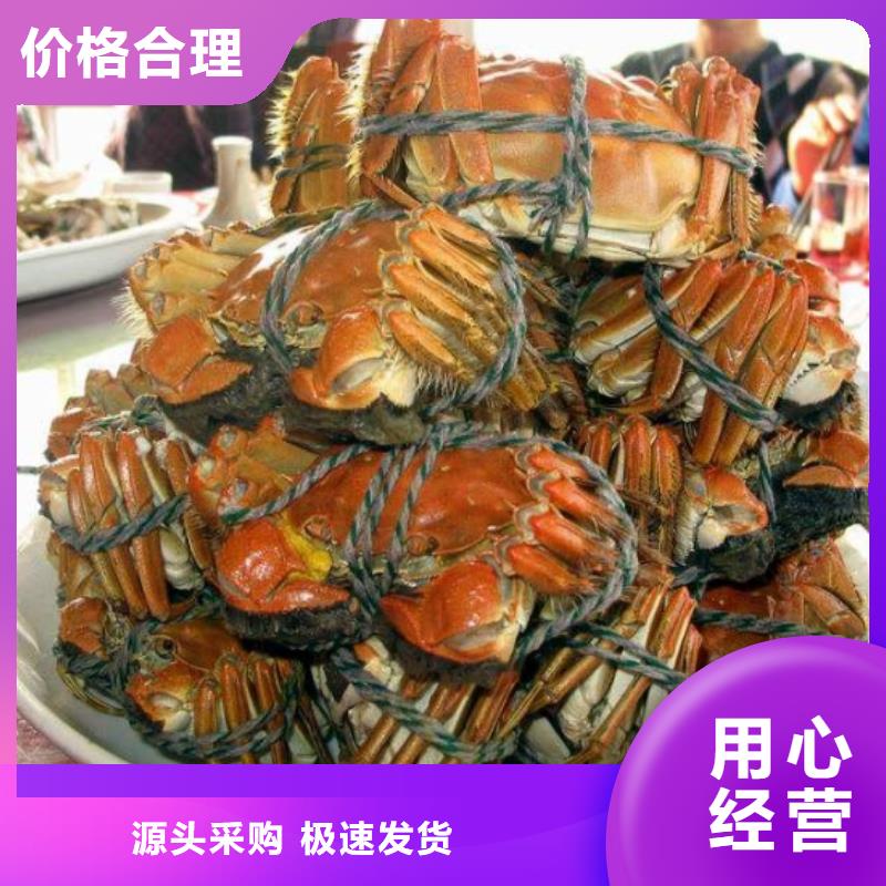 岳西阳澄湖大闸蟹奢华美味