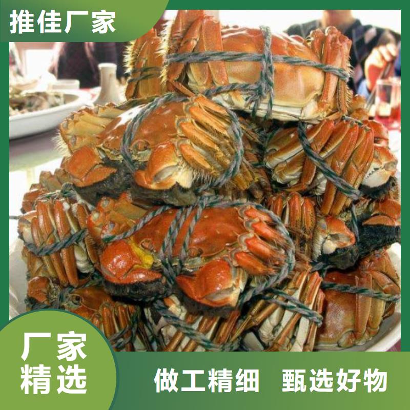 龙港区哪里卖阳澄湖大闸蟹