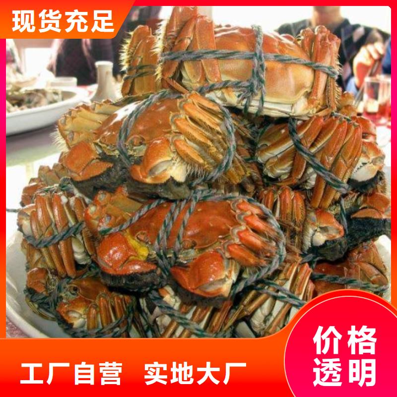 阳澄湖大闸蟹哪里正宗琼中县