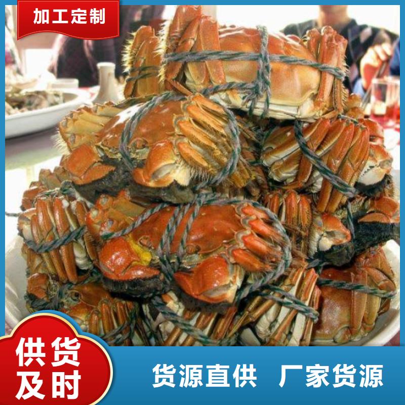 大闸蟹优选厂家
