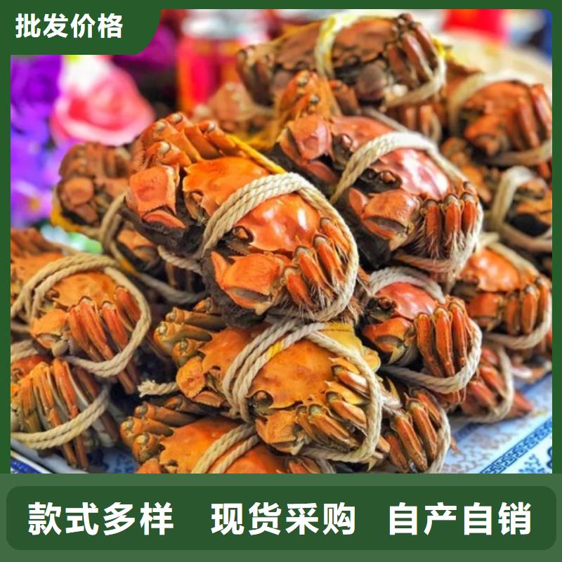 打螃蟹厂家已认证