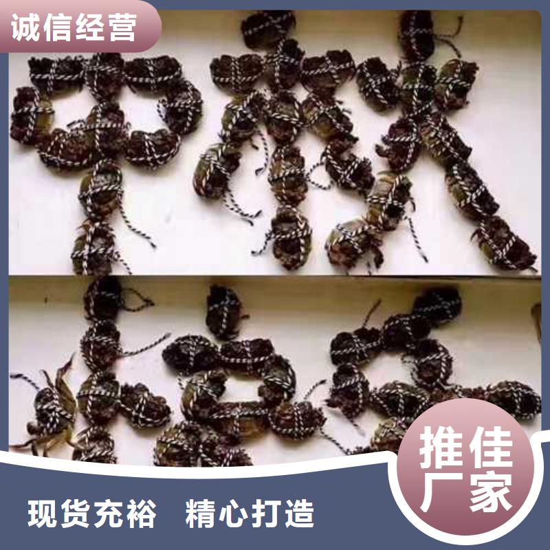 柞水县阳澄湖大闸蟹旗舰店