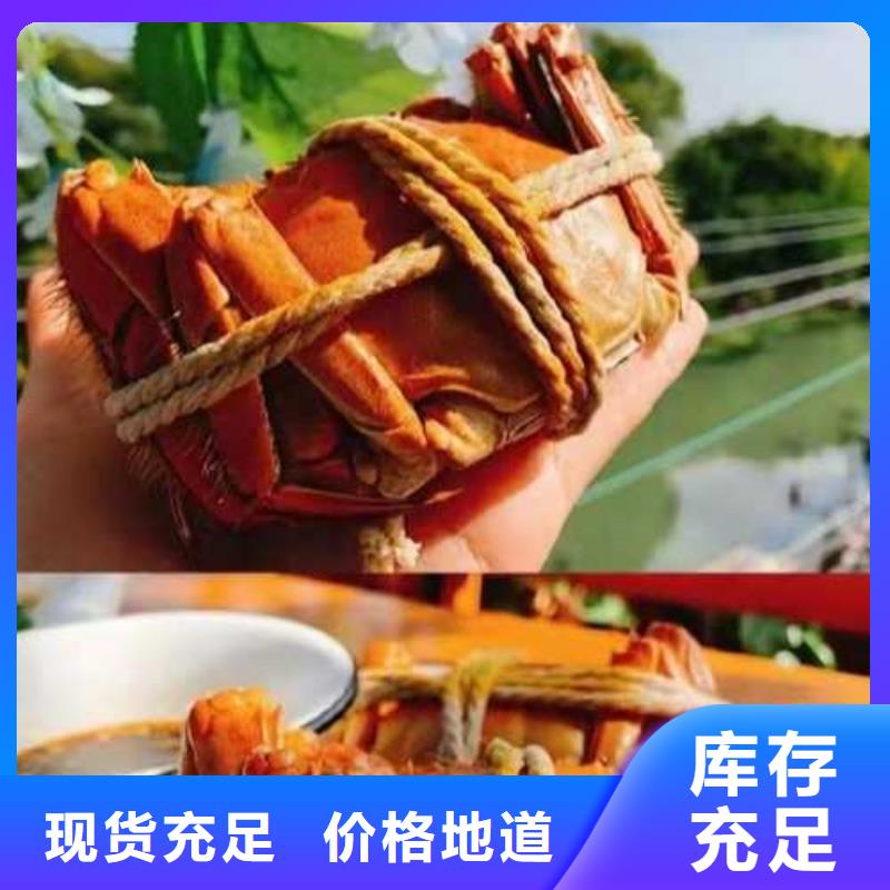 超大闸蟹厂家价格透明