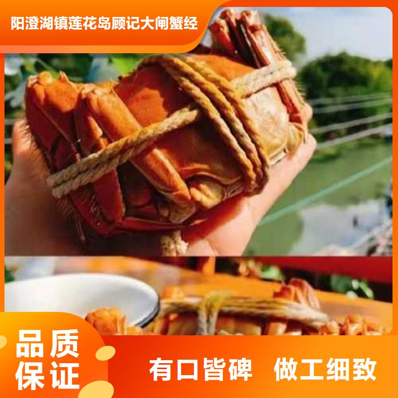 全母大闸蟹多少钱一斤