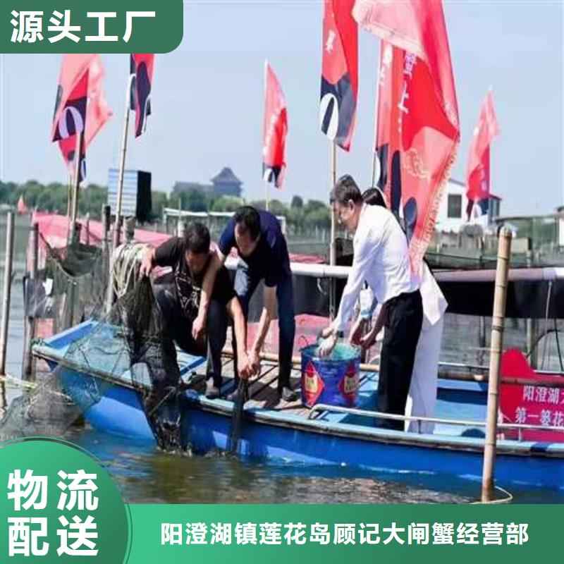 鲜活螃蟹礼盒团购