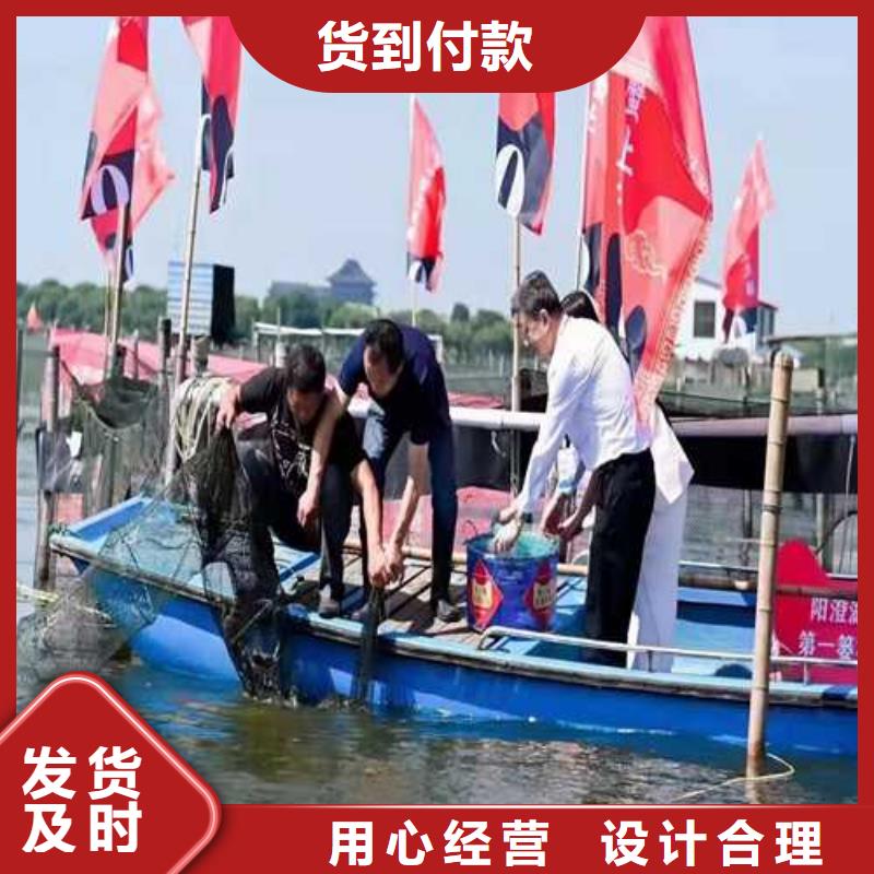 专业销售大闸蟹连锁店-大型厂家
