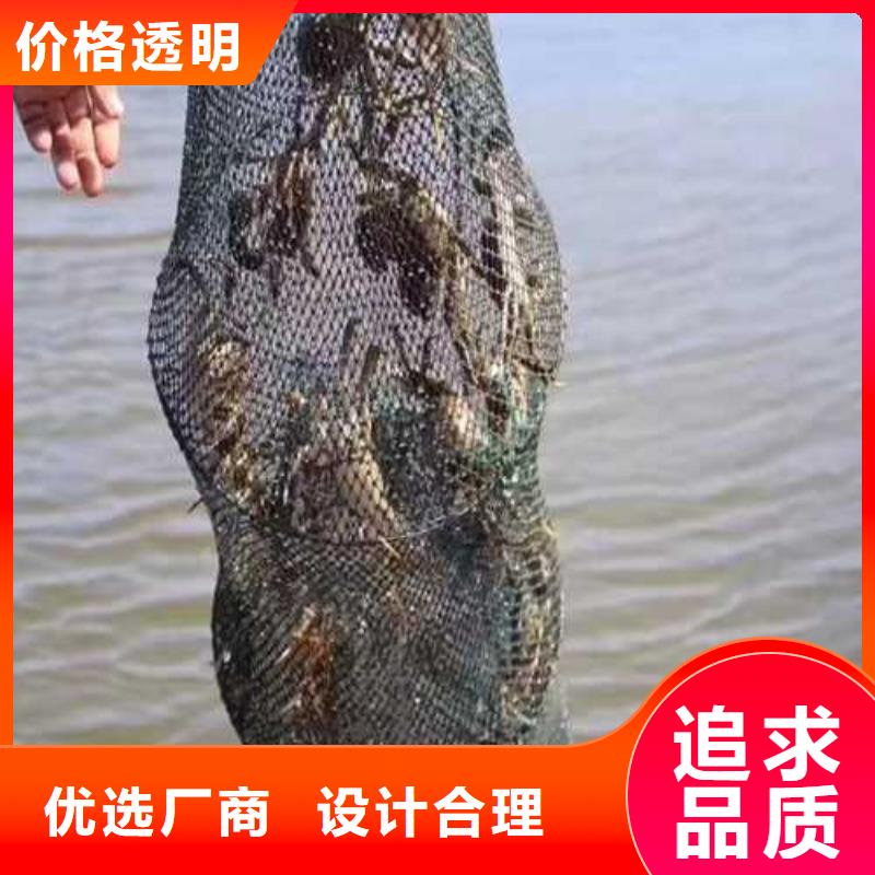 阳澄湖大闸蟹
