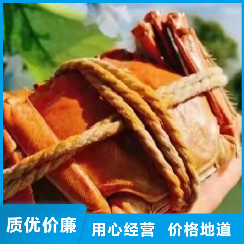 价格行情:大闸蟹