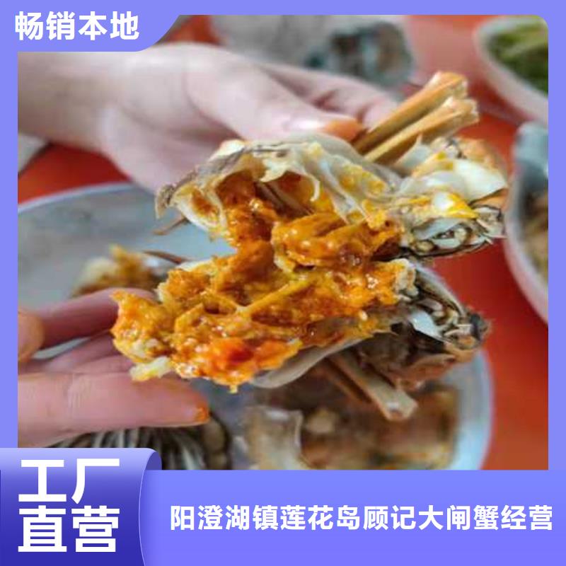 曲阳阳澄湖大闸蟹膏肥肉美