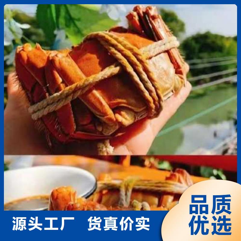 大闸蟹连锁店厂家价格便宜