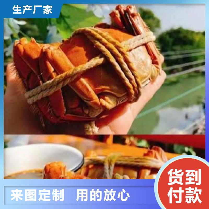 七星关阳澄湖大闸蟹订购