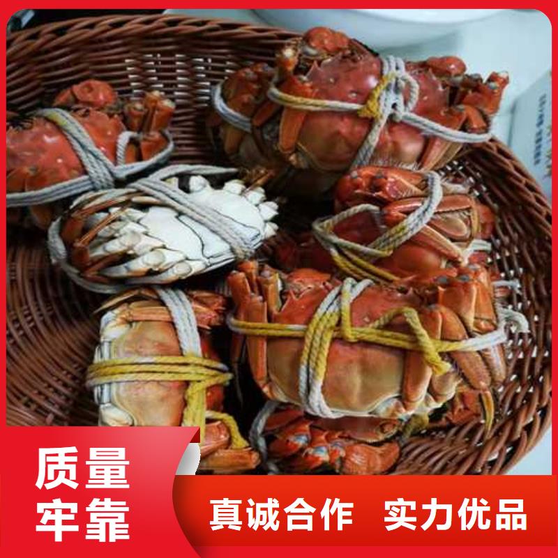 鲜活螃蟹礼盒团购