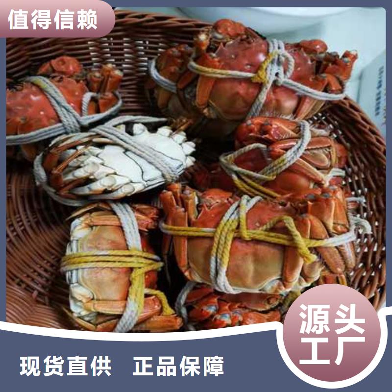 大闸蟹连锁店