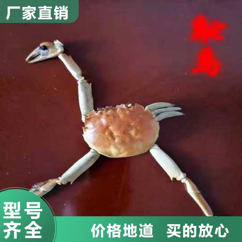 螃蟹_螃蟹有限公司
