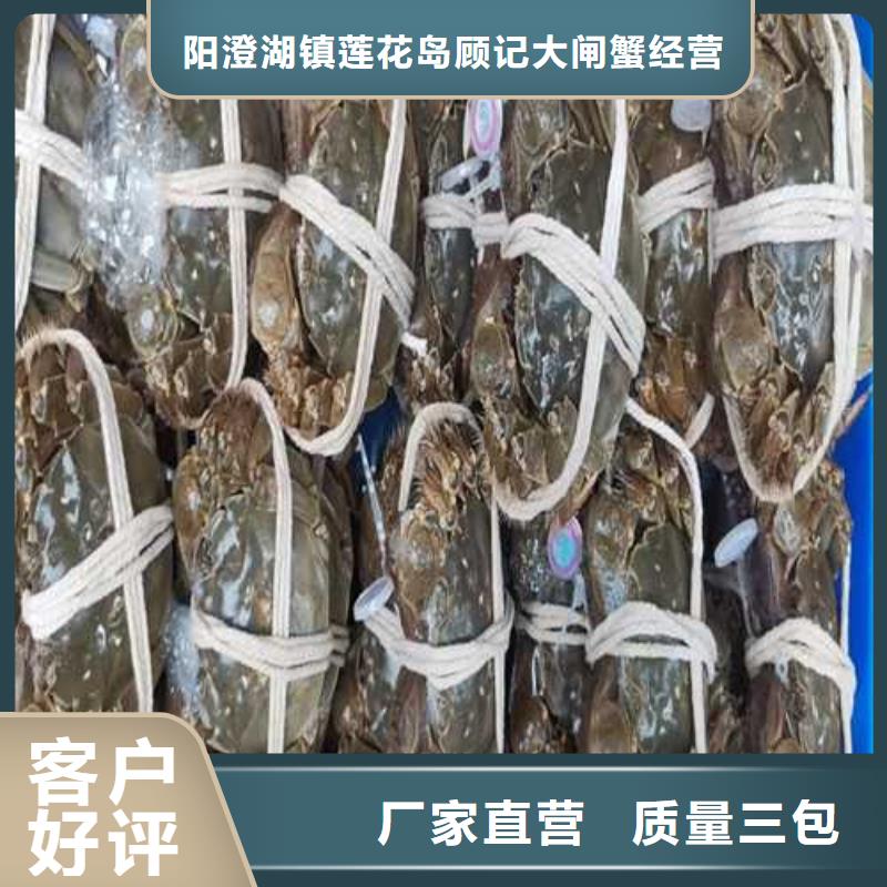 阳澄湖大闸蟹多少钱
