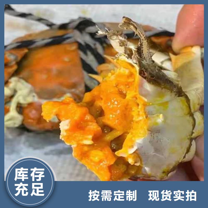 规格全的阳澄湖大闸蟹品牌厂家