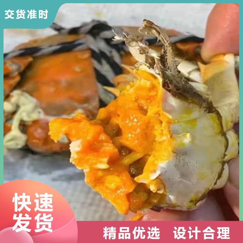 阳澄湖大闸蟹团购