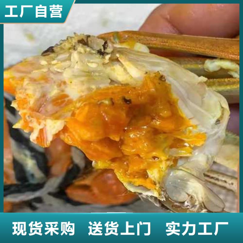 阳澄湖大闸蟹哪家比较好吃