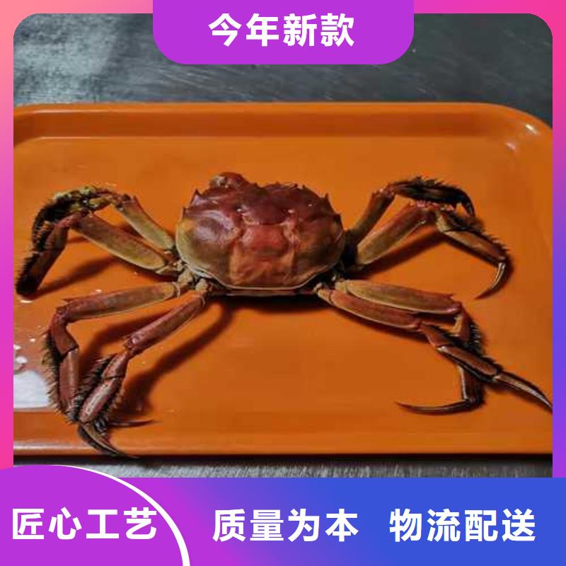 供应批发超大闸蟹厂家