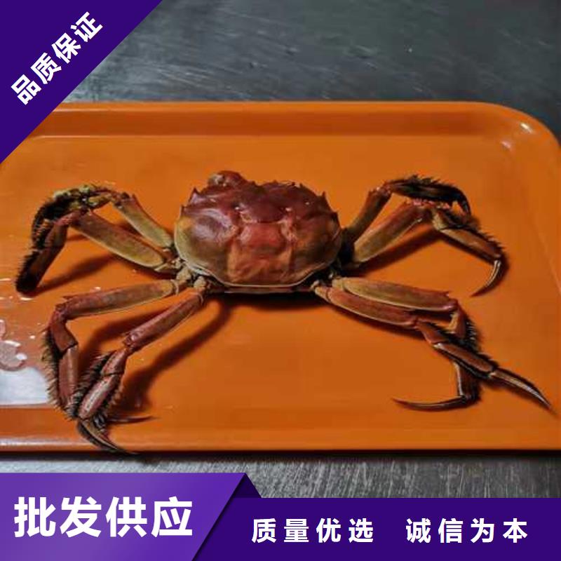 大闸蟹可随时发货