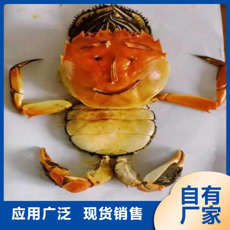 批发螃蟹的供货商