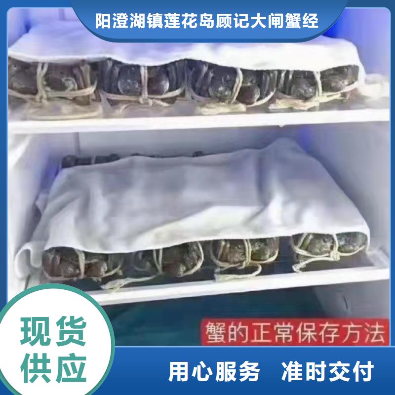 阳澄湖大闸蟹包邮