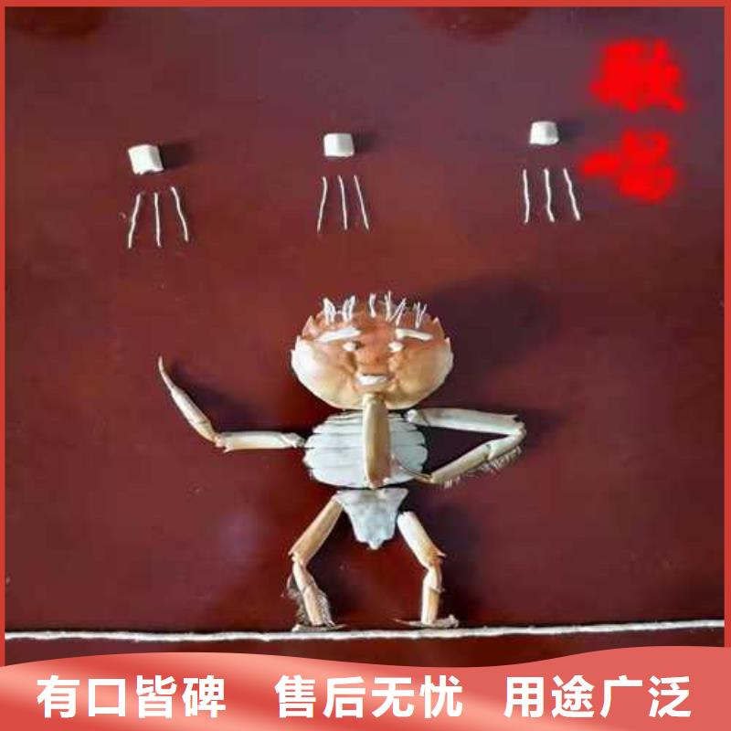 阳澄湖大闸蟹报价资讯