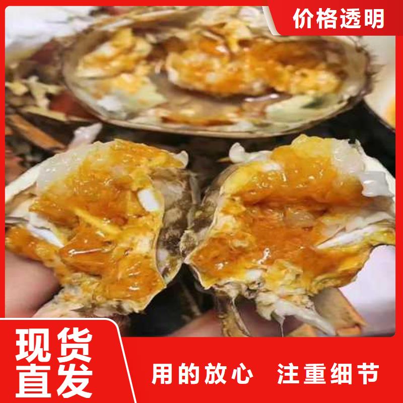 便宜的阳澄湖大闸蟹养殖基地联系方式