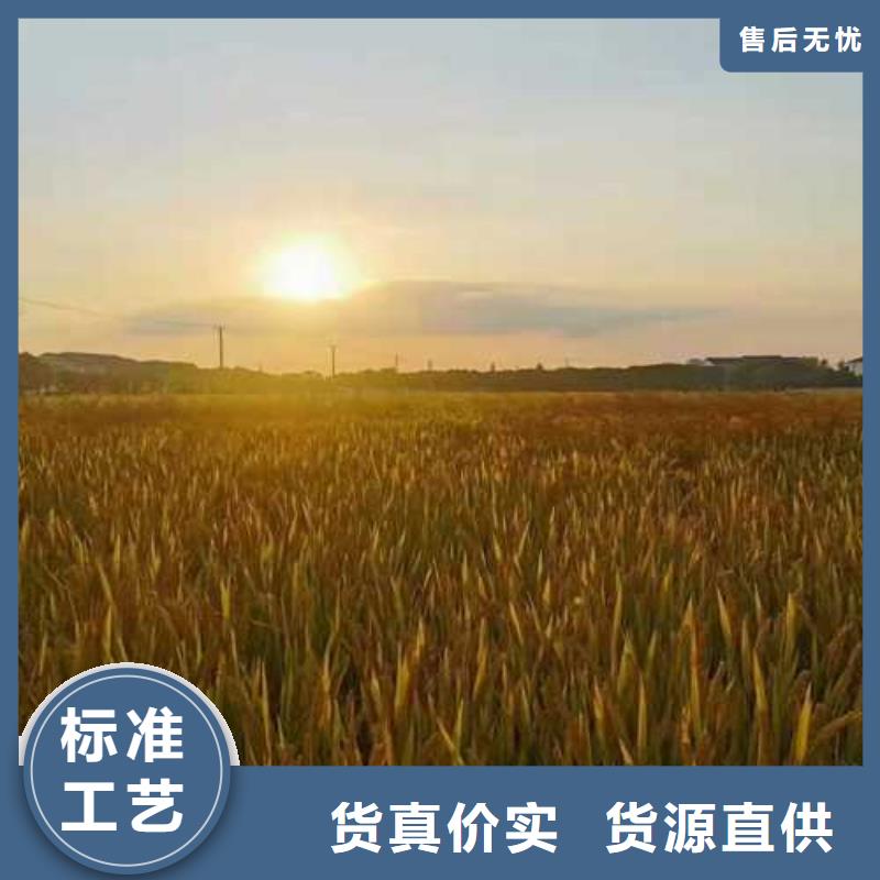 大闸蟹连锁店便宜批发