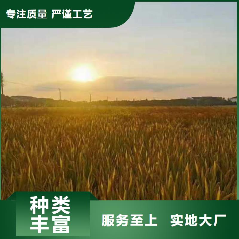 大闸蟹公司介绍